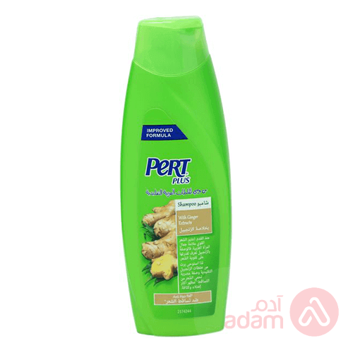 PERT SH. 200ML GINGER EXTRACT