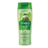VATIKA SH. 400ML CACTUS&GERGIR