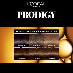 LOREAL PRODIGY OIL H.COLOR NO. 6.0