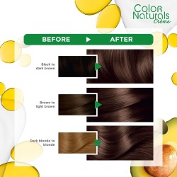 غارنييه كولور ناتشورالز كريمي رقم. 5